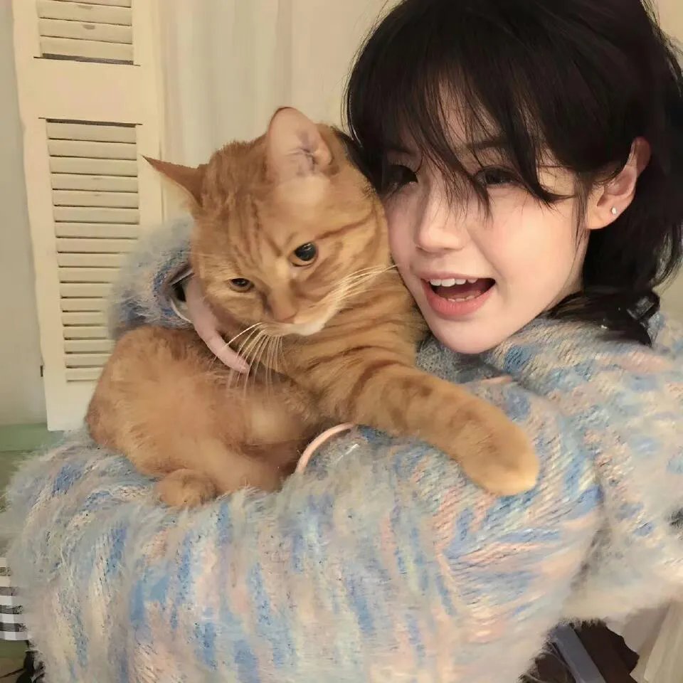 猎人2016